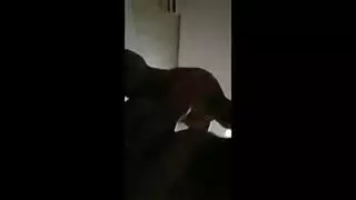 سكس شاب ينيك قحبه سعودية وياقذف لمني