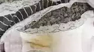 العاهرة المتشمسة تفتح فخذيها من أجل جنس عنيف